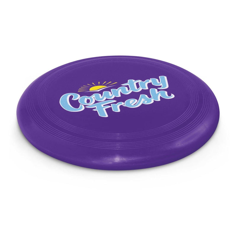 Custom Branded Large Flyer - Promo Merchandise