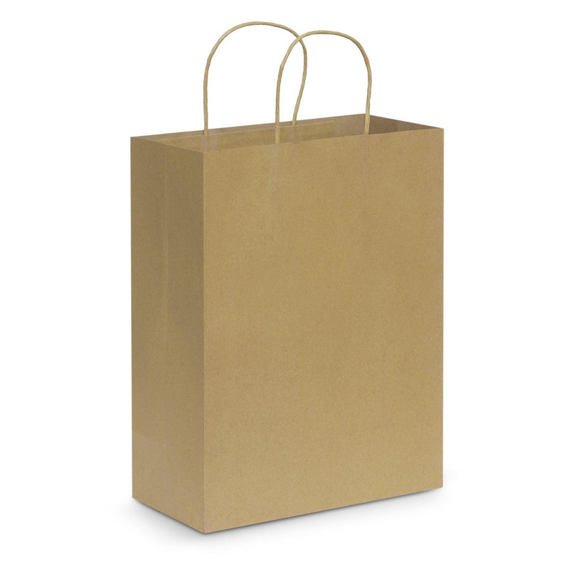 Custom Branded Paper Carry Bag - Large - Promo Merchandise